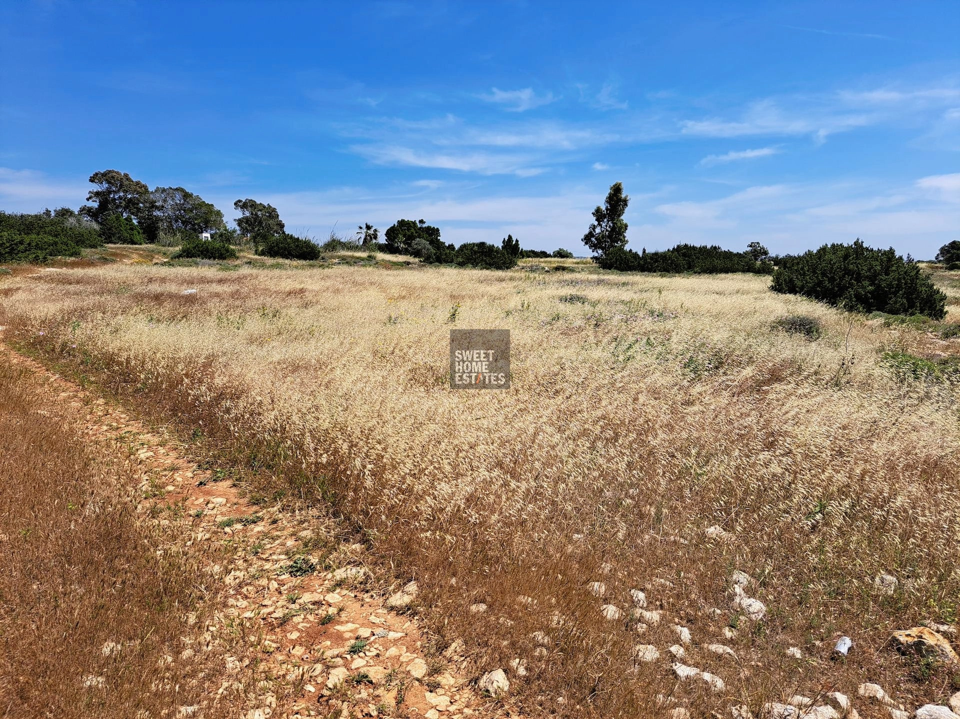 7,900m² Plot for Sale in Famagusta – Agia Napa