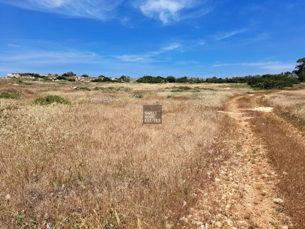 7,900m² Plot for Sale in Famagusta – Agia Napa