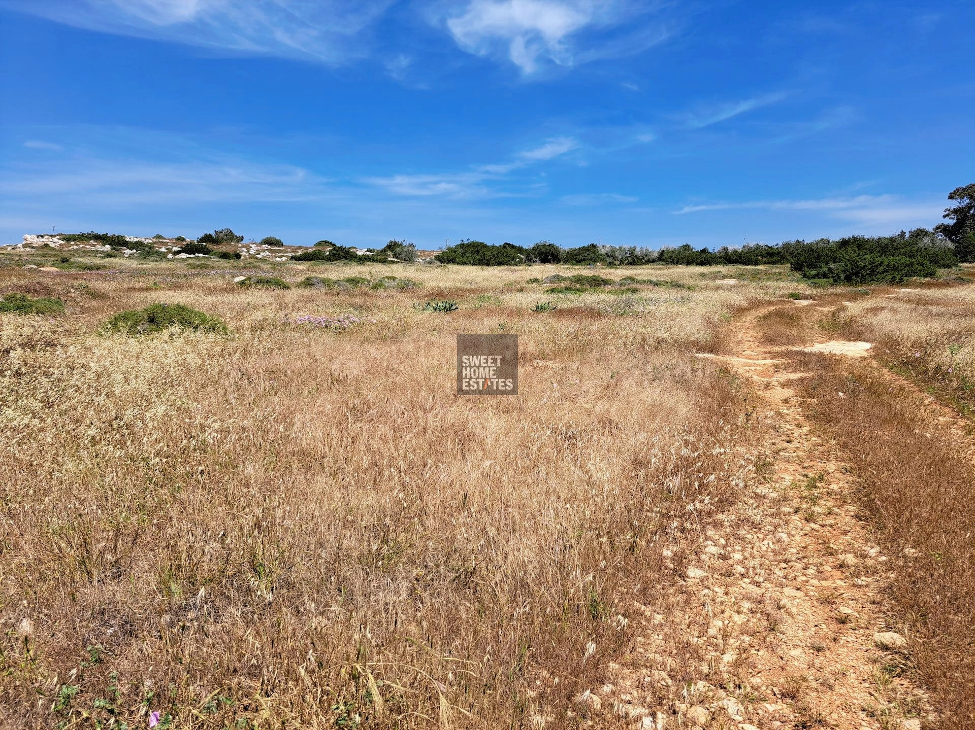 7,900m² Plot for Sale in Famagusta – Agia Napa