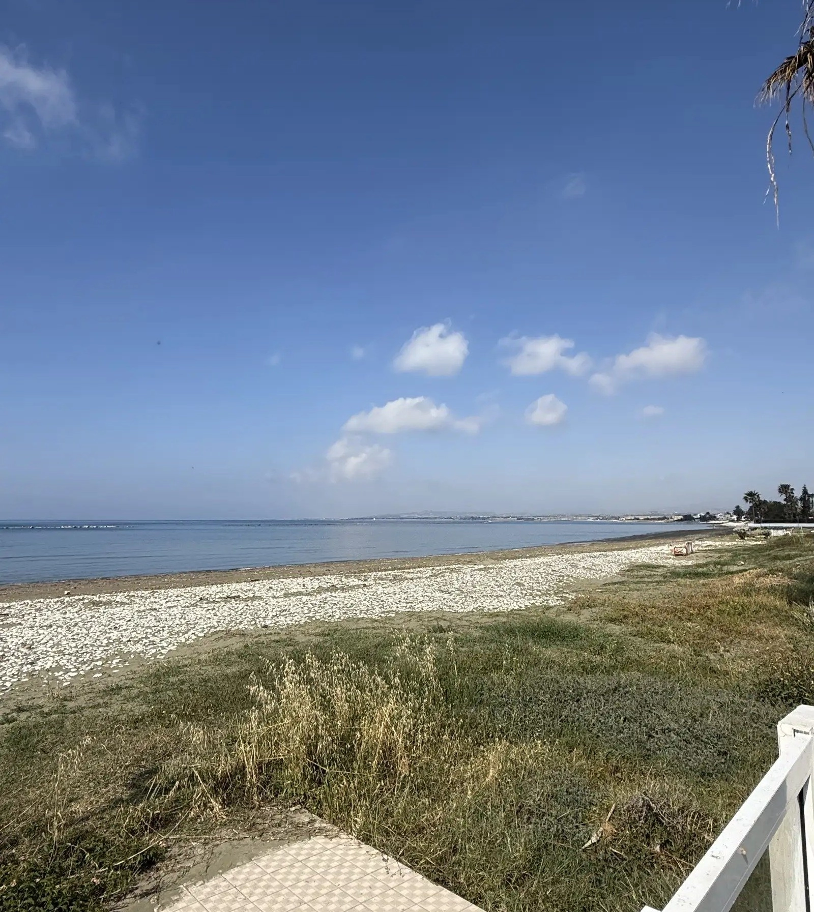 5 Bedroom House for Rent in Larnaca District
