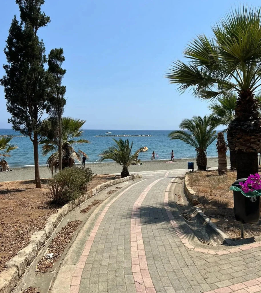 2 Bedroom Apartment for Rent in Limassol District