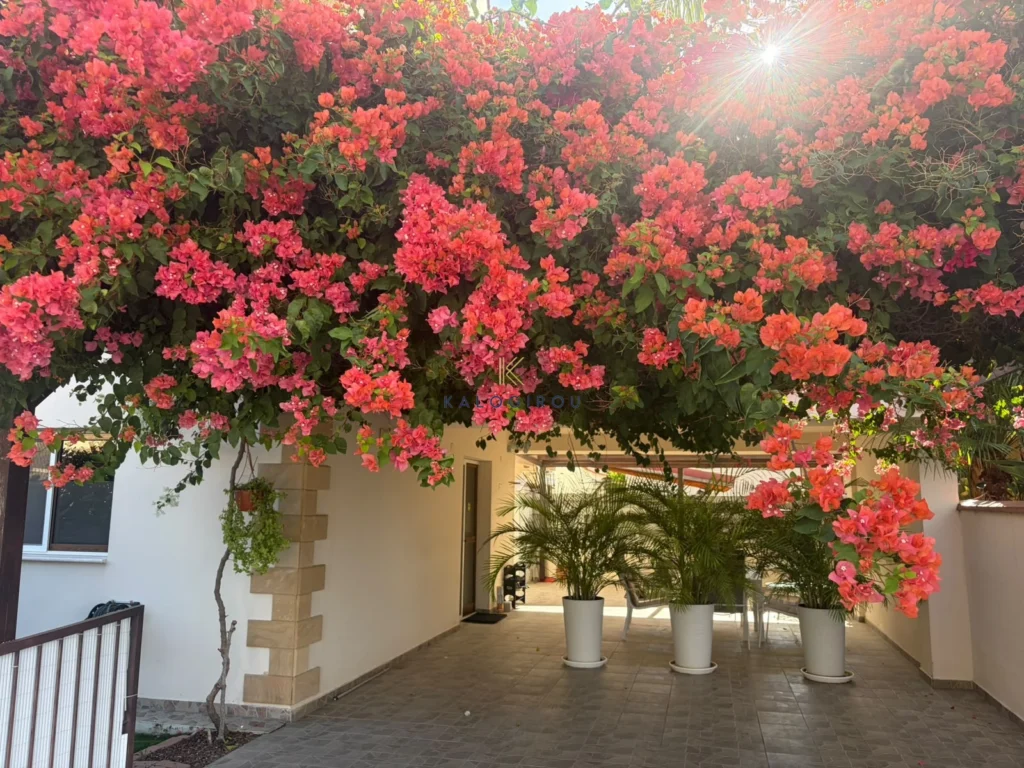 4 Bedroom House for Sale in Aradippou, Larnaca District