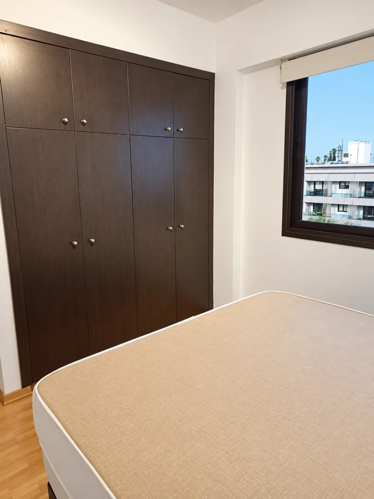 2-bed furnished penthouse for rent in Engomi, Nicosia photo 6