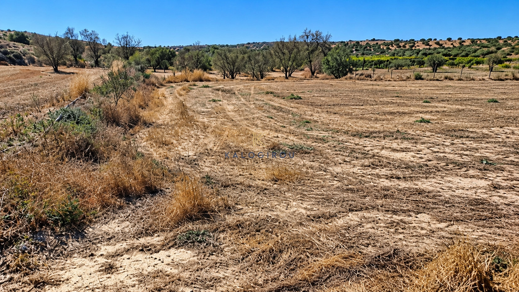 1,673m² Plot for Sale in Anafotida, Larnaca District