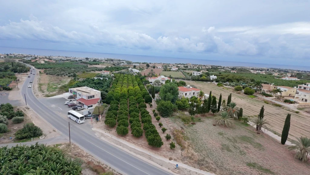 978 m² development plot in Pegeia, Paphos photo 2
