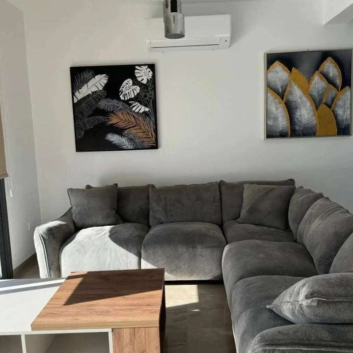 3-bed house with pool and garden in Parekklisia photo 2