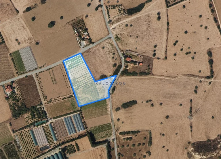 10,850m² Plot for Sale in Tochni, Larnaca District