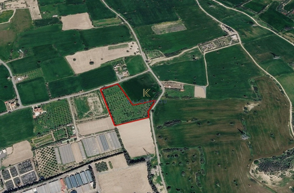 10,850m² Plot for Sale in Tochni, Larnaca District