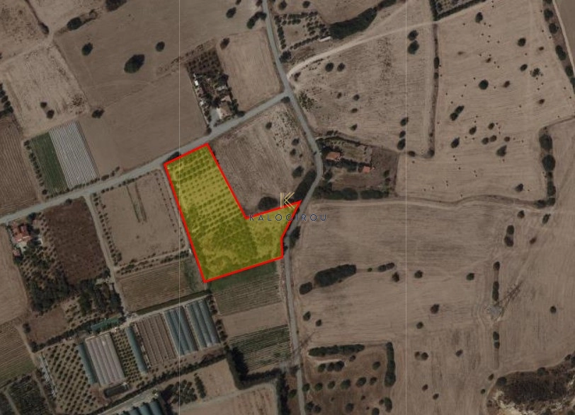 10,850m² Plot for Sale in Tochni, Larnaca District