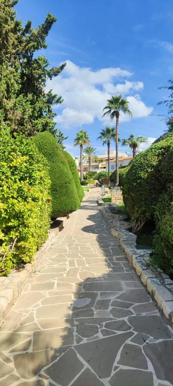 3 Bedroom Apartment for Rent in Limassol District