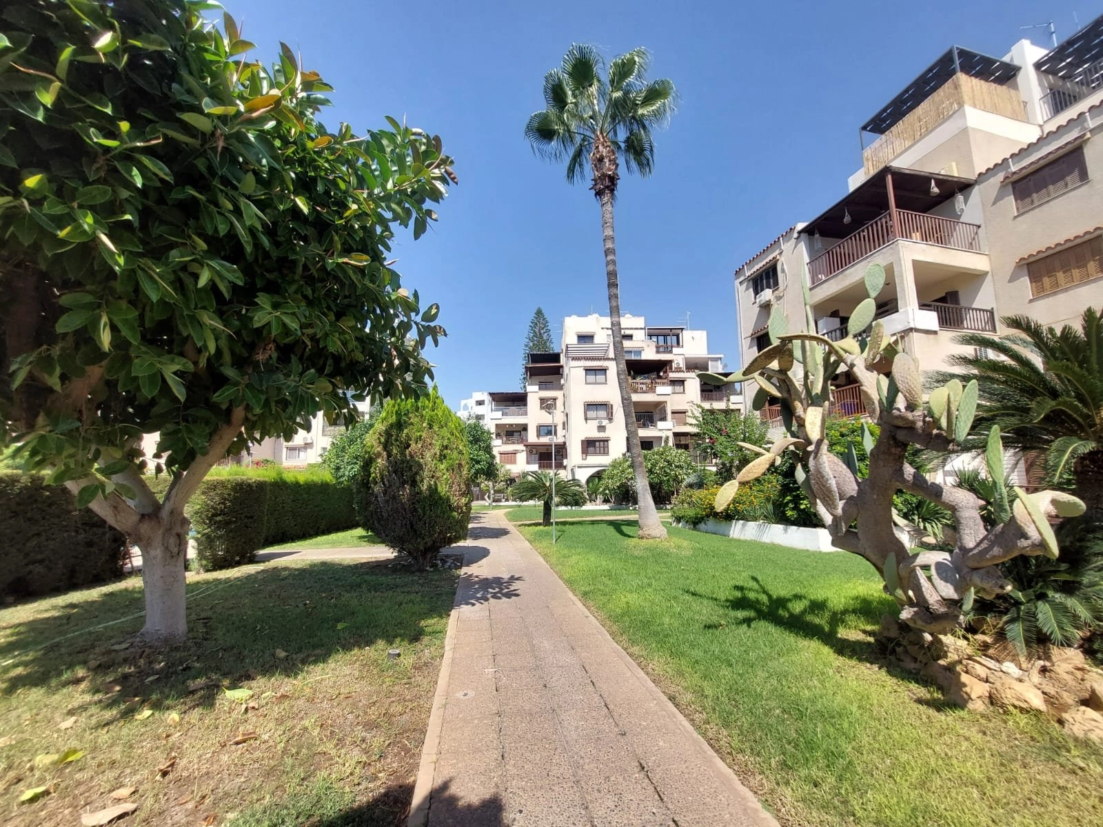 3 Bedroom Apartment for Rent in Limassol District