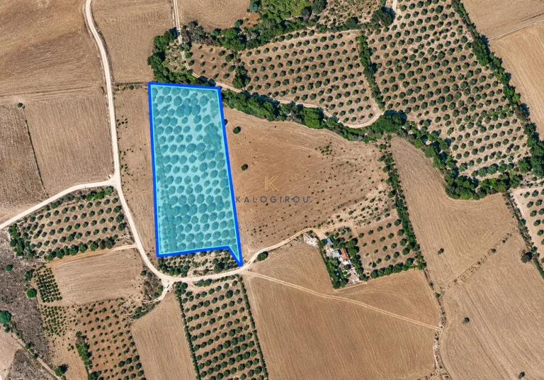 7,580m² Plot for Sale in Mazotos, Larnaca District