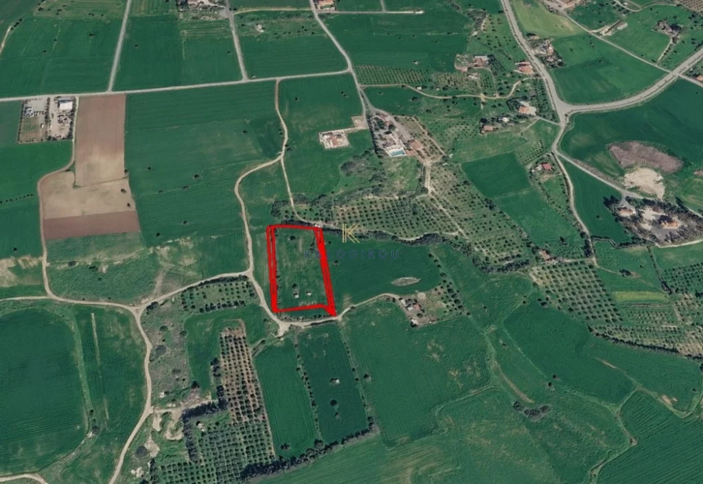 7,580m² agricultural plot near the sea in Mazotos, Larnaca photo 2