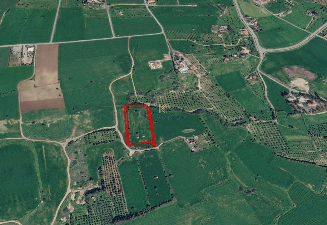 7,580m² Plot for Sale in Mazotos, Larnaca District