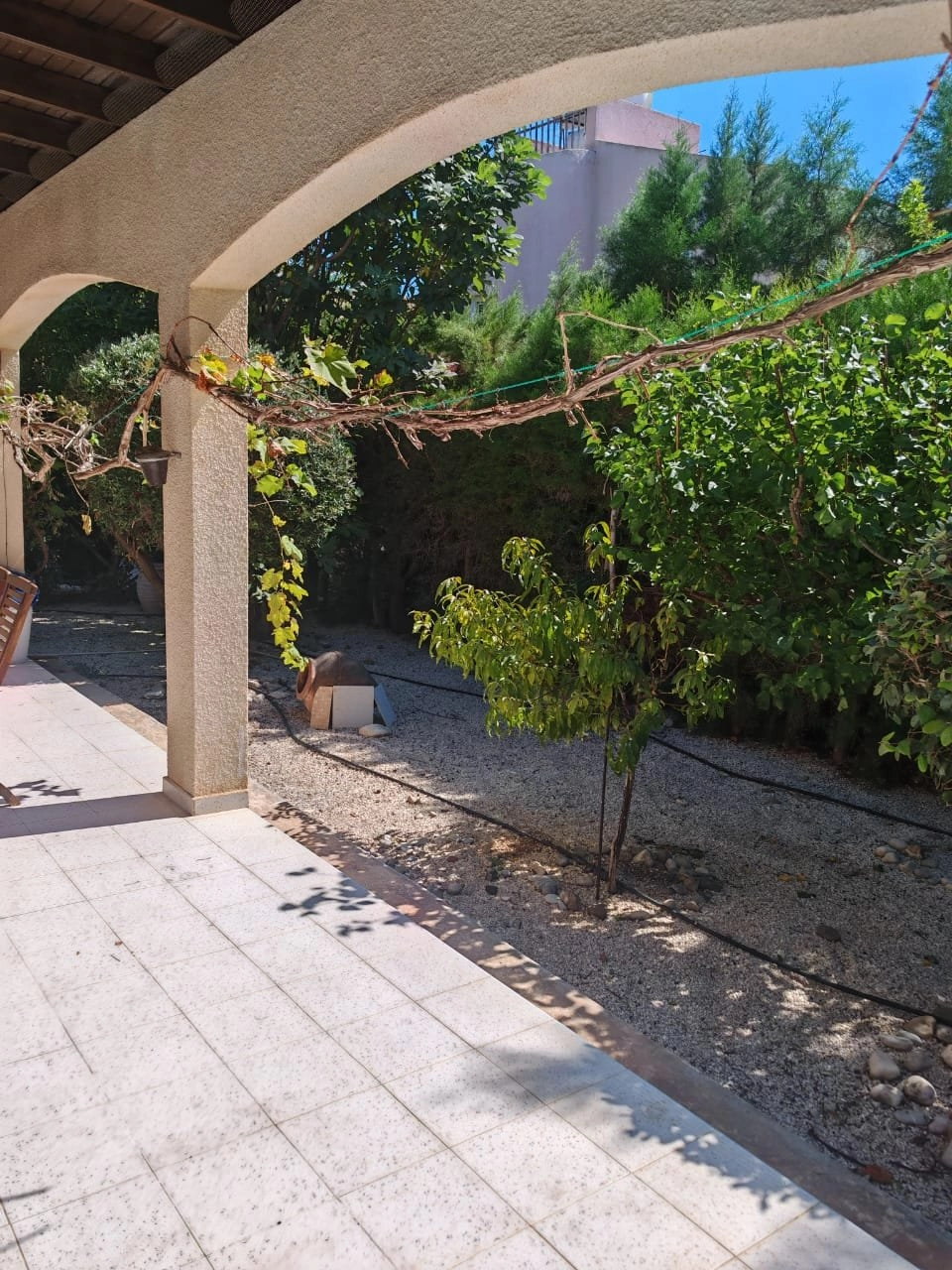 3 Bedroom House for Rent in Pegeia, Paphos District