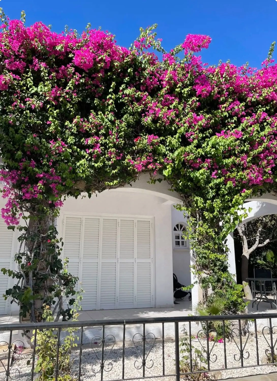 3 Bedroom House for Rent in Pegeia, Paphos District