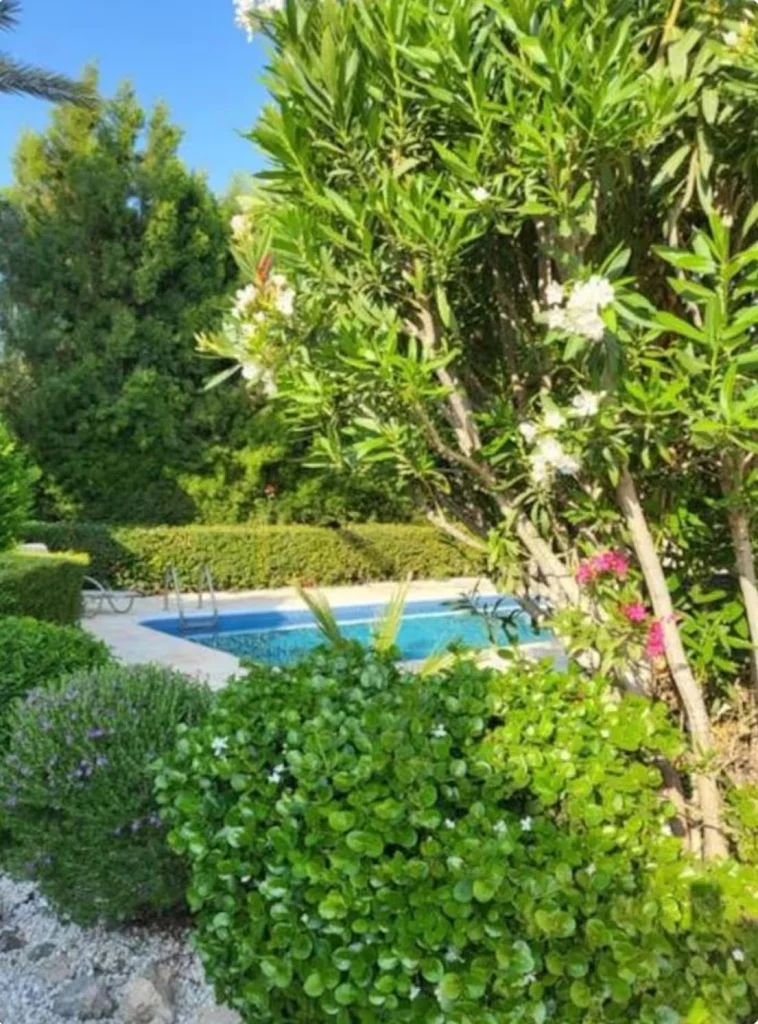 3-bed villa with private pool in Coral Bay, Pegeia photo 2