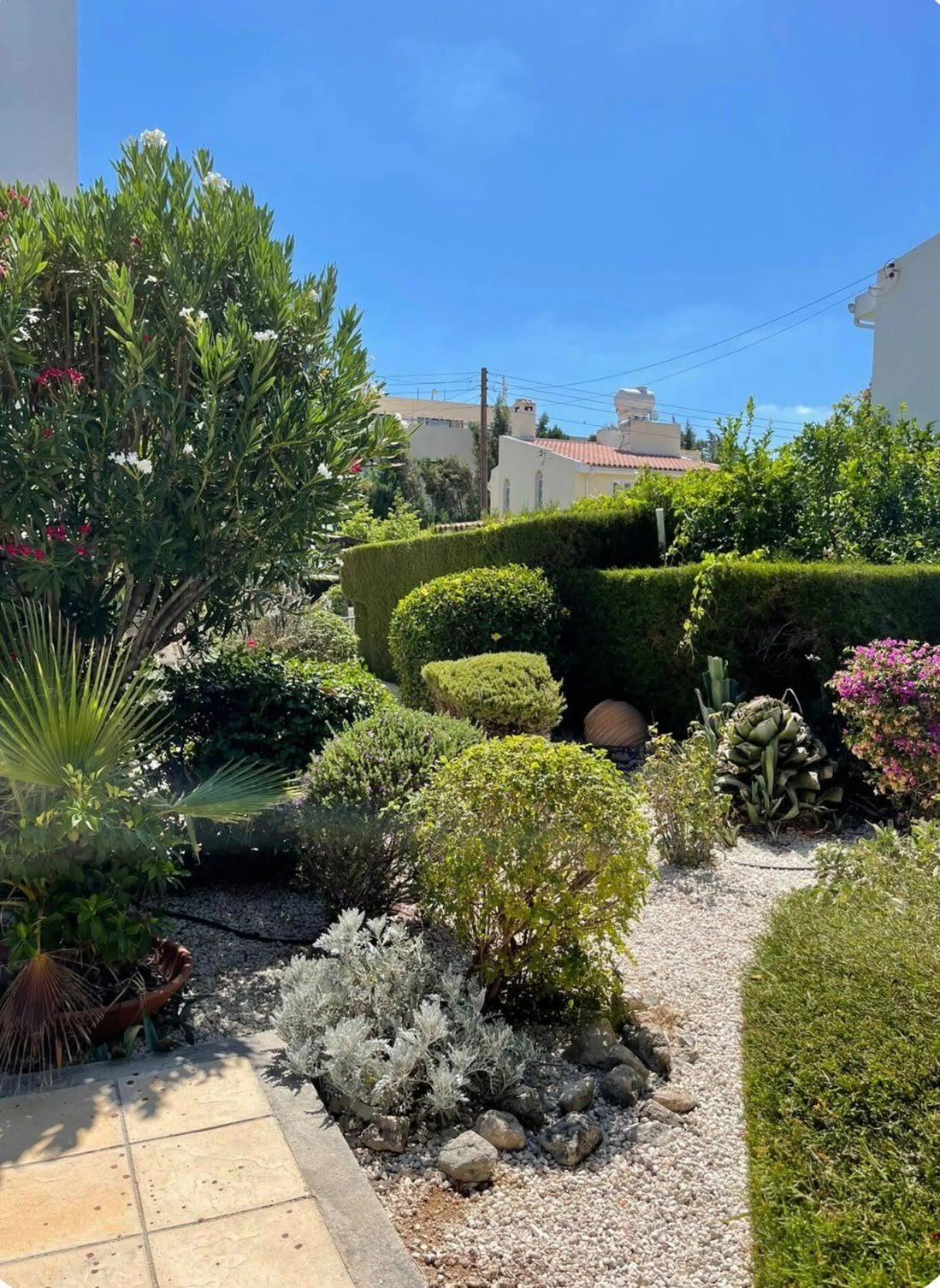 3 Bedroom House for Rent in Pegeia, Paphos District