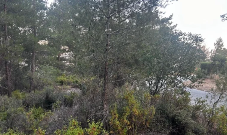 1,055m² Plot for Sale in Moniatis, Limassol District