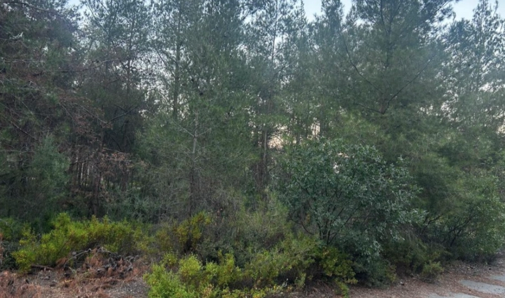 1,055m² residential plot for sale in Moniatis, Limassol photo 2