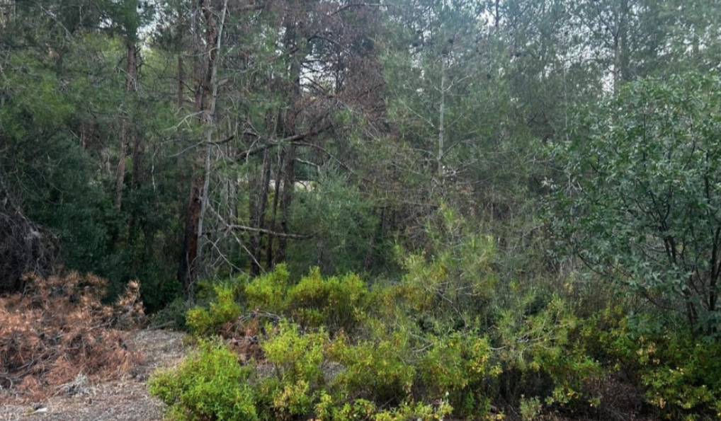1,055m² residential plot for sale in Moniatis, Limassol photo 3
