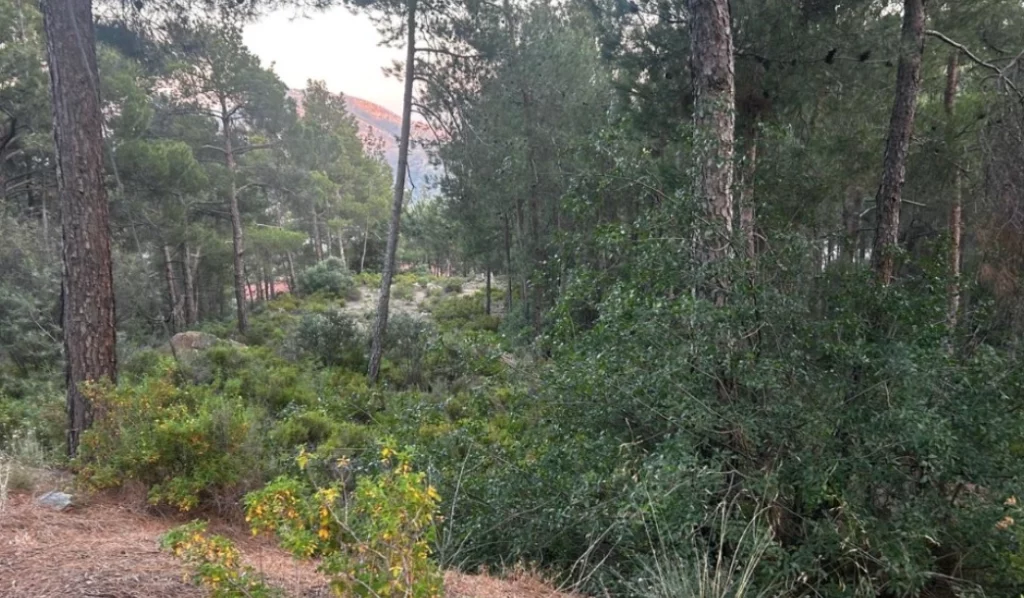 1,055m² residential plot for sale in Moniatis, Limassol photo 4