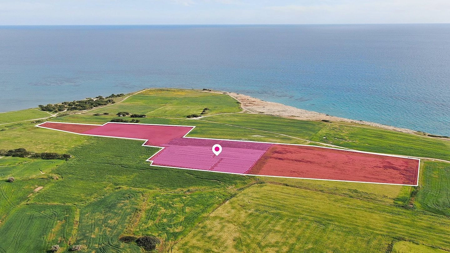 36,456m² Plot for Sale in Mazotos, Larnaca District