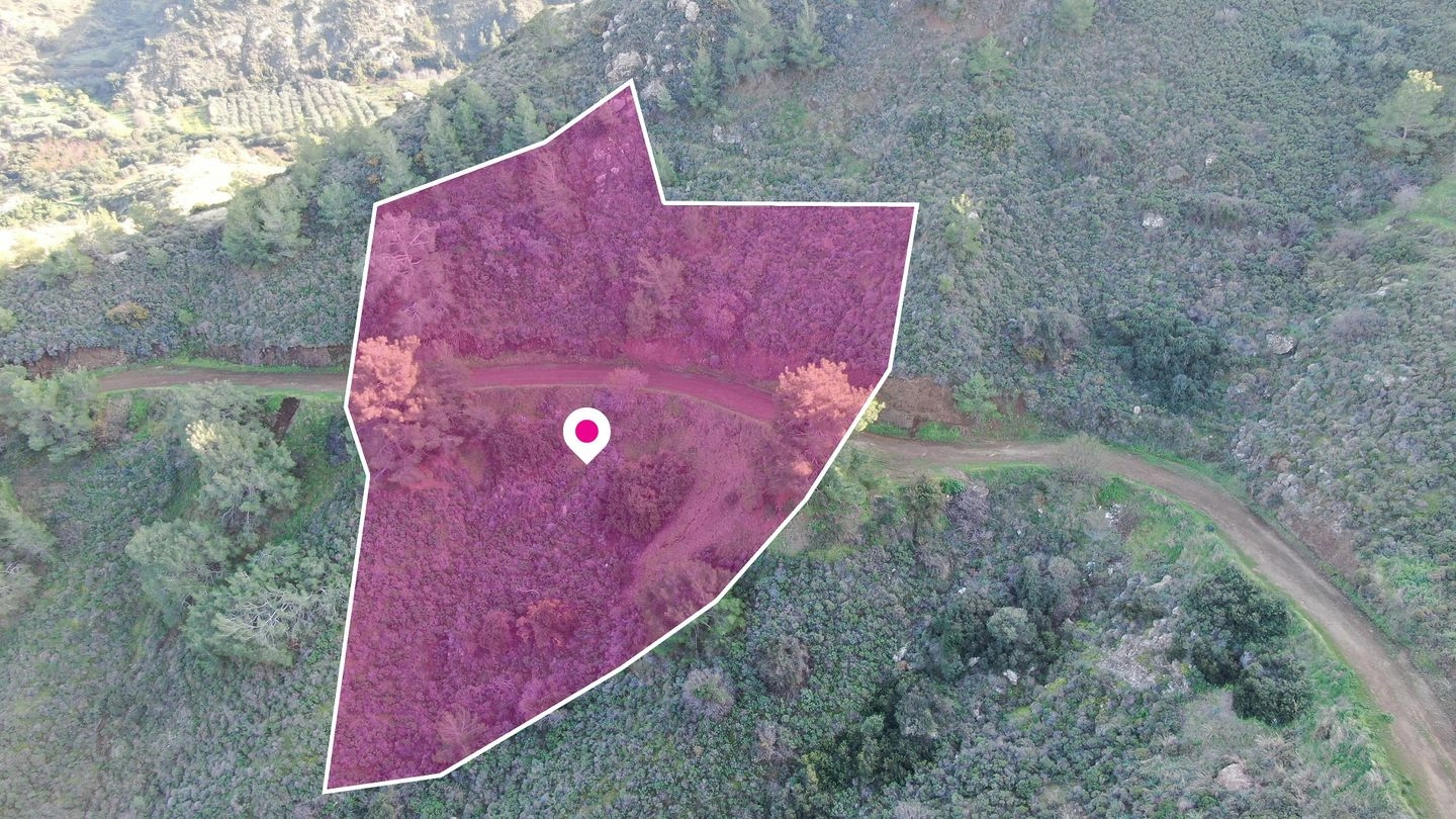 7,038m² Plot for Sale in Pigenia, Nicosia District