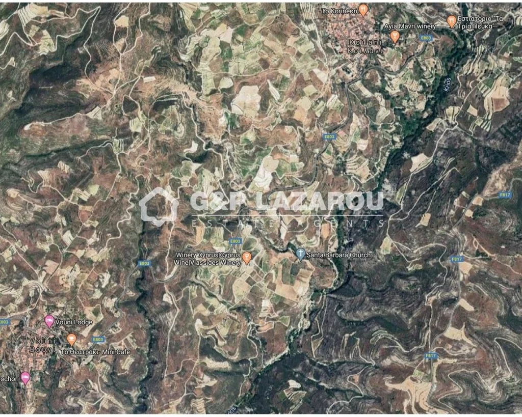 2,007m² Plot for Sale in Koilani, Limassol District