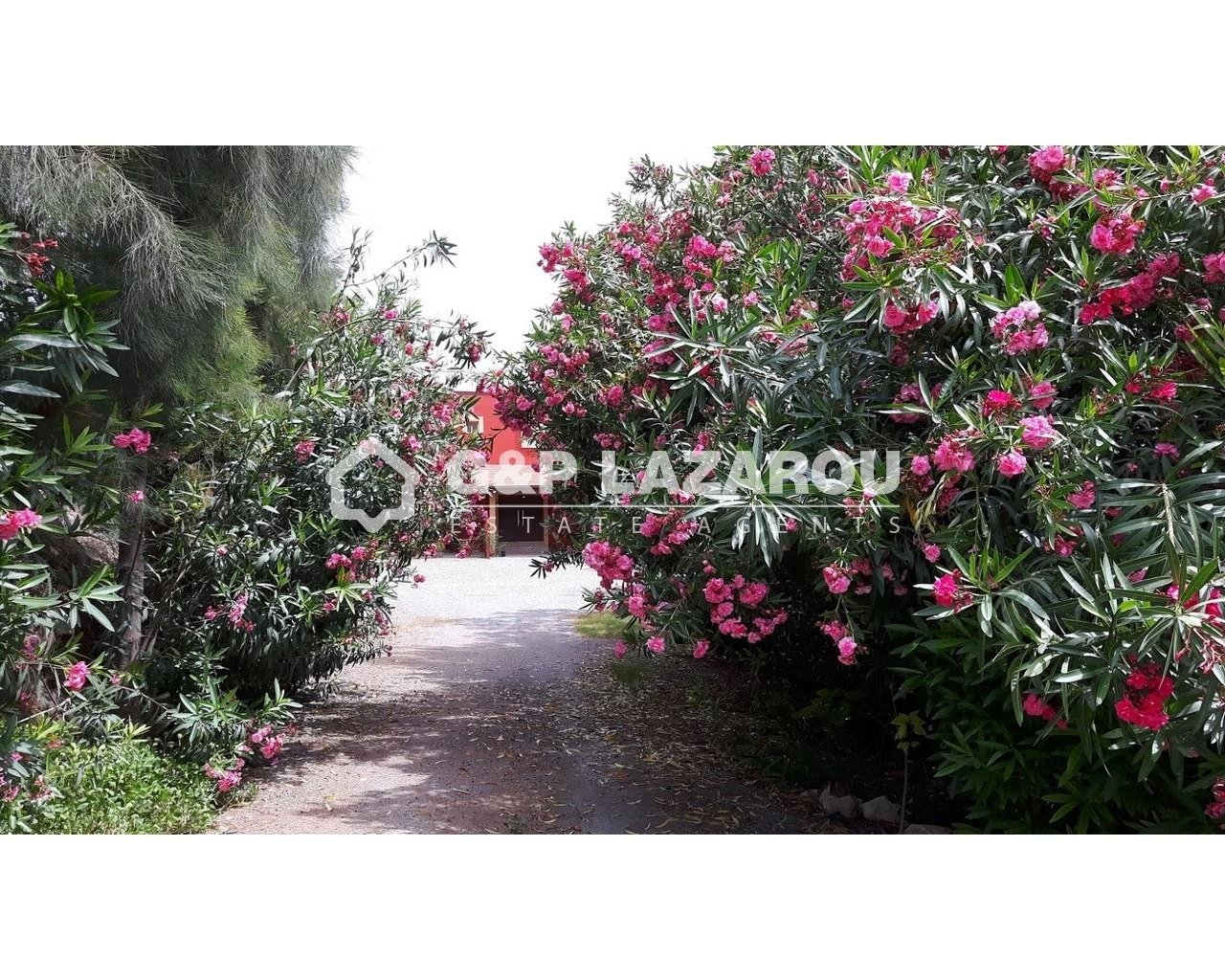 305m² Building for Sale in Limnatis, Limassol District