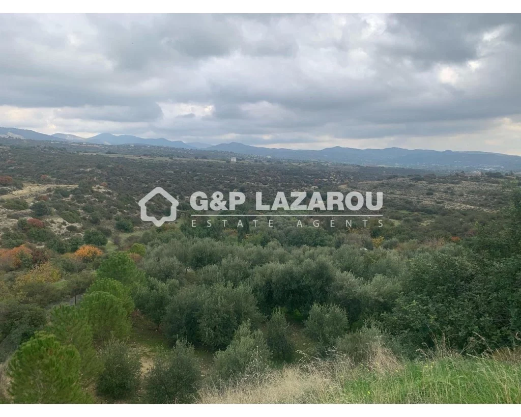 305m² Building for Sale in Limnatis, Limassol District