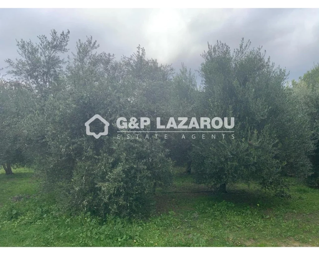 305m² Building for Sale in Limnatis, Limassol District