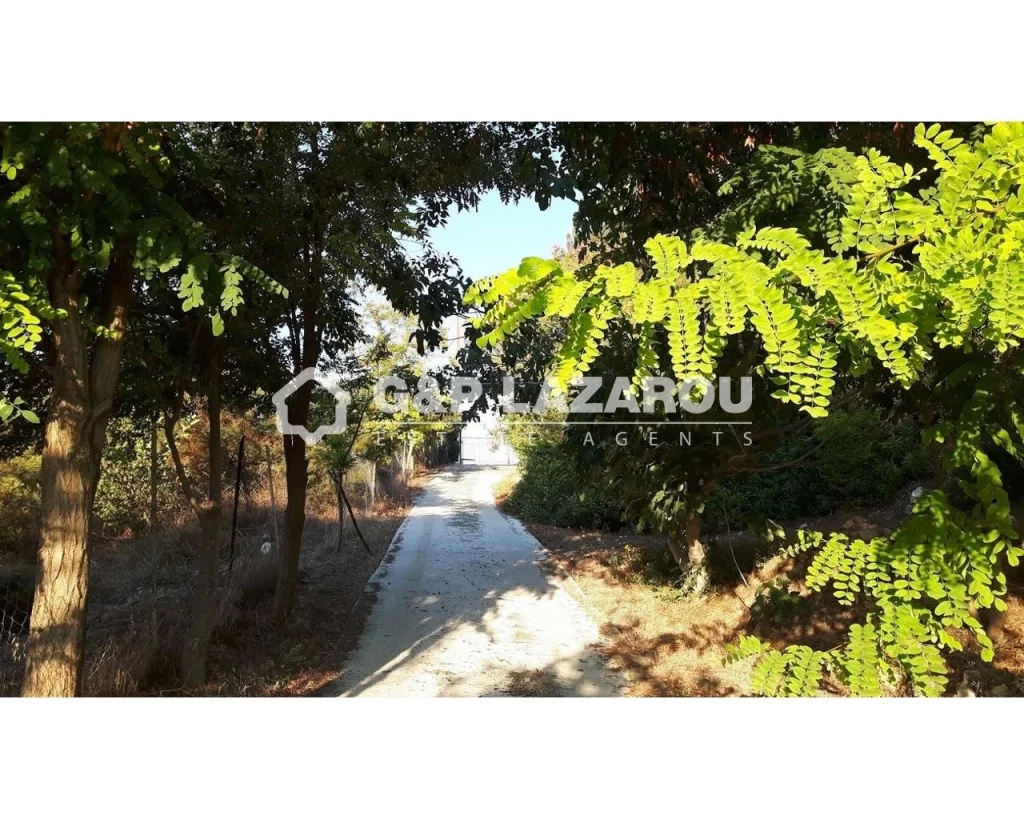 305m² Building for Sale in Limnatis, Limassol District