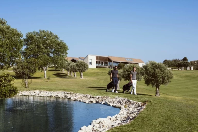 Average Price of a House in Paphos