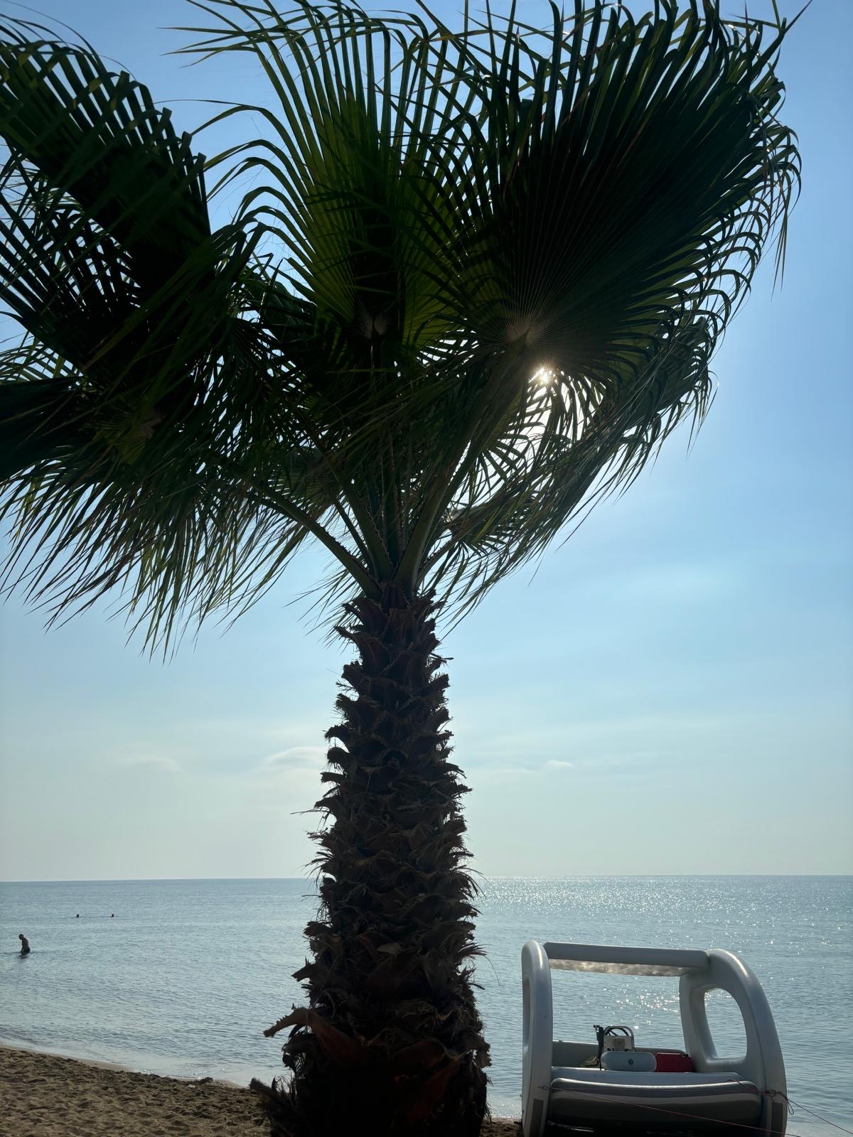 Studio Apartment for Rent in Frenaros, Famagusta District