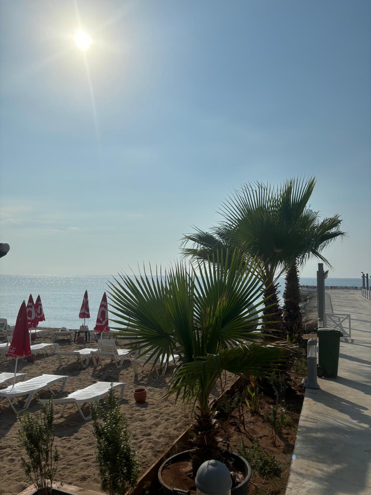 Studio Apartment for Rent in Frenaros, Famagusta District