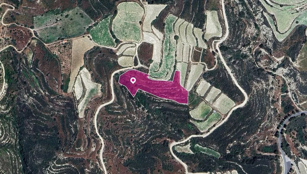 10,257m² Plot for Sale in Koilani, Limassol District
