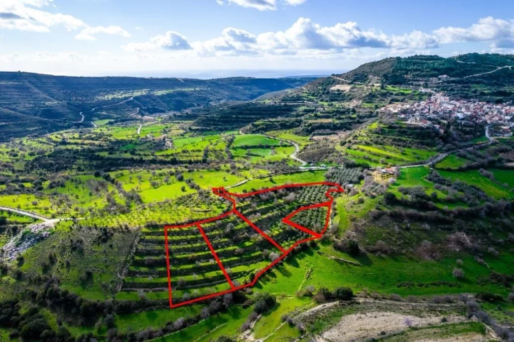 16,545m² Plot for Sale in Dora, Limassol District