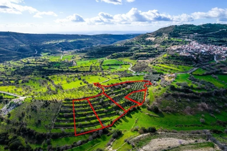 16,545m² Plot for Sale in Dora, Limassol District