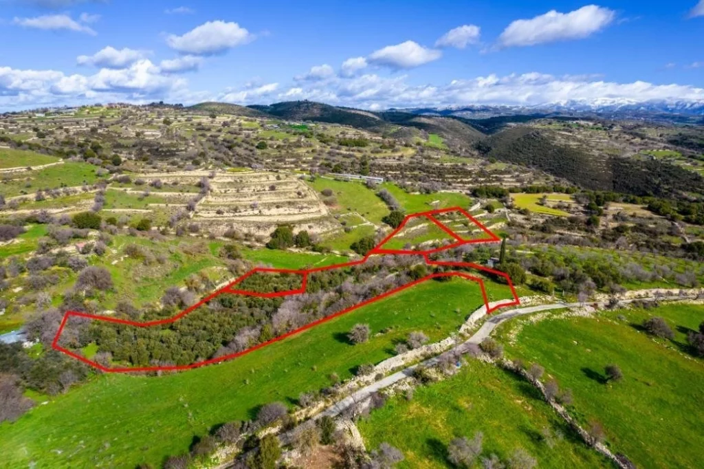16,545m² Plot for Sale in Dora, Limassol District