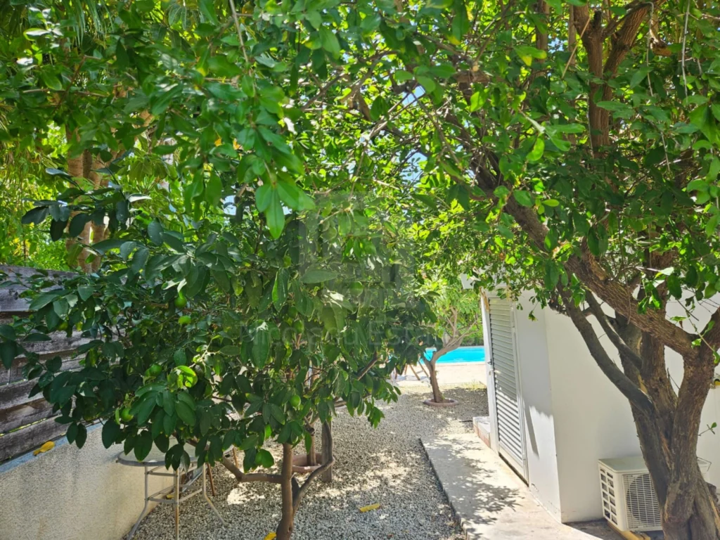 3 Bedroom House for Rent in Erimi, Limassol District