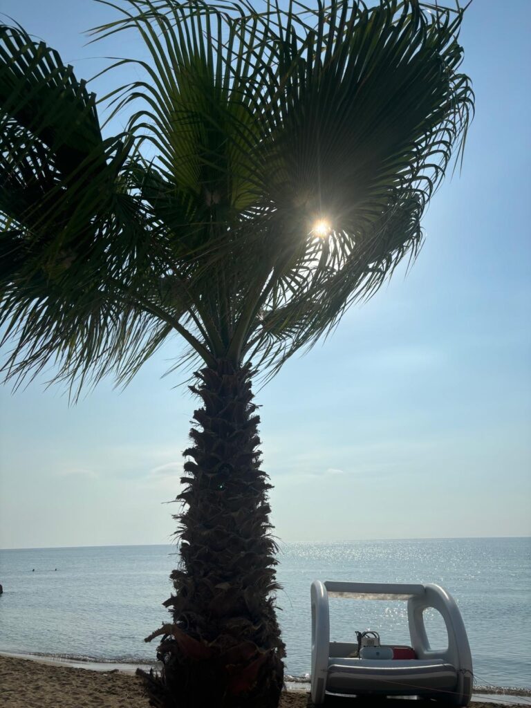 Studio Apartment for Rent in Frenaros, Famagusta District