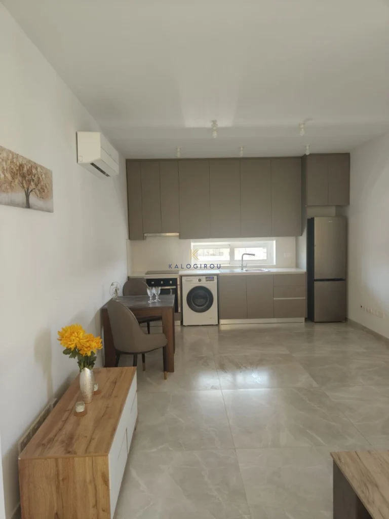1 Bedroom Apartment for Rent in Drosia, Larnaca District