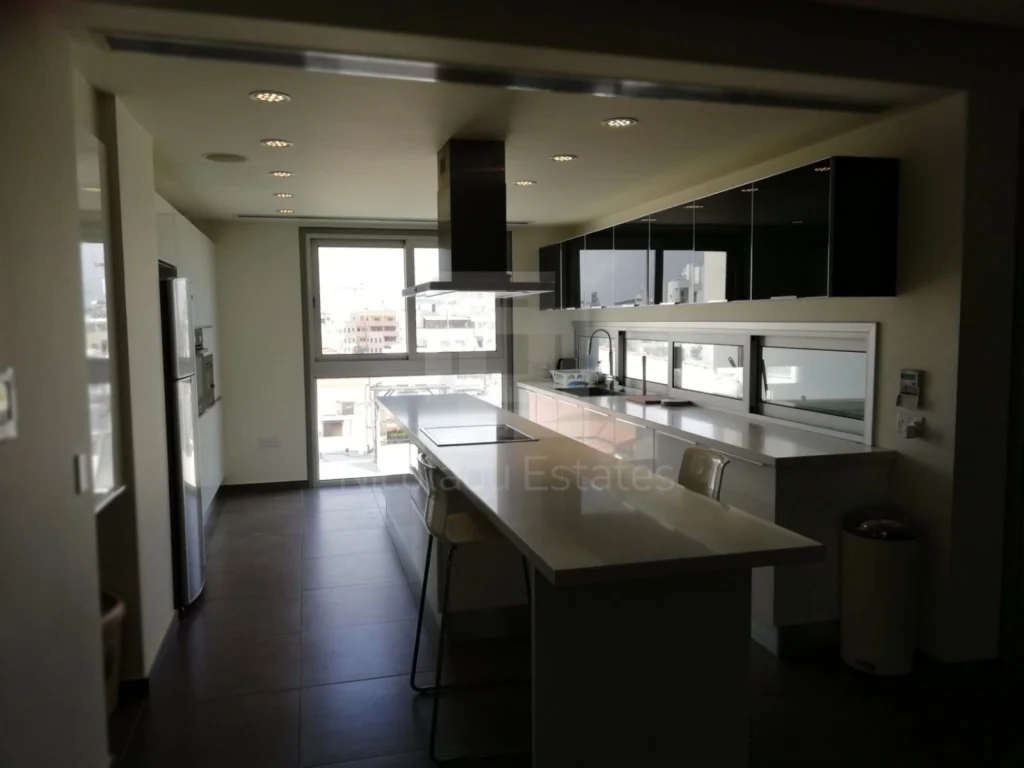 4 Bedroom Apartment for Rent in Nicosia District