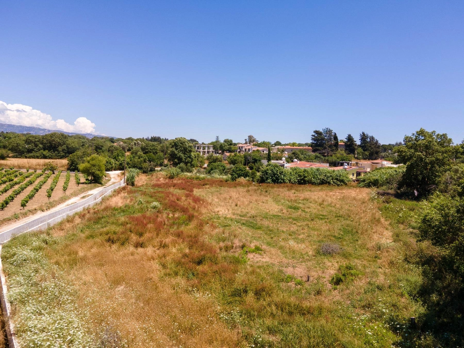 5,017m² Plot for Sale in Polemi, Paphos District
