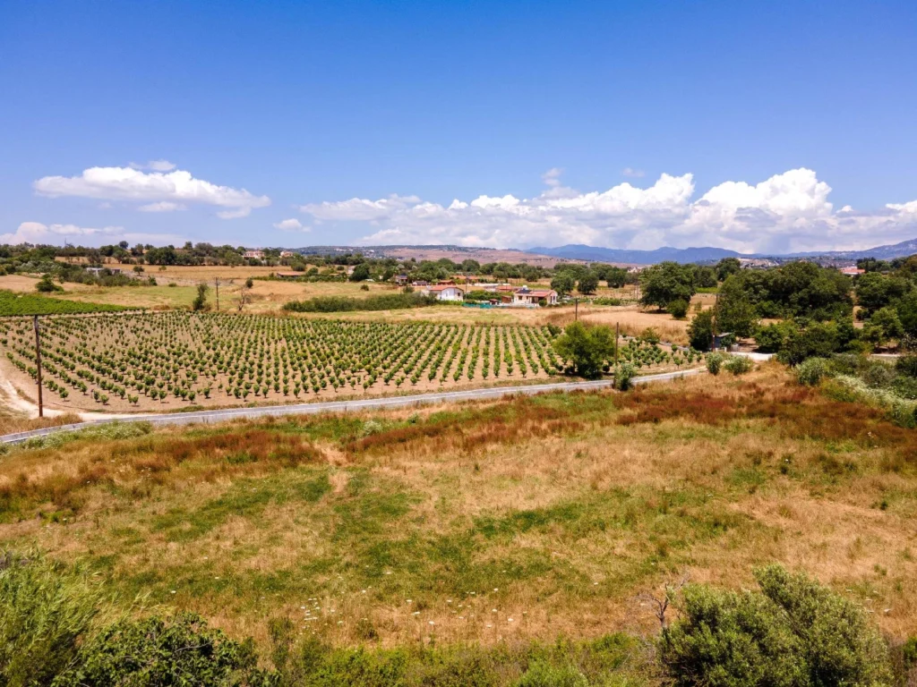 5,017m² Plot for Sale in Polemi, Paphos District