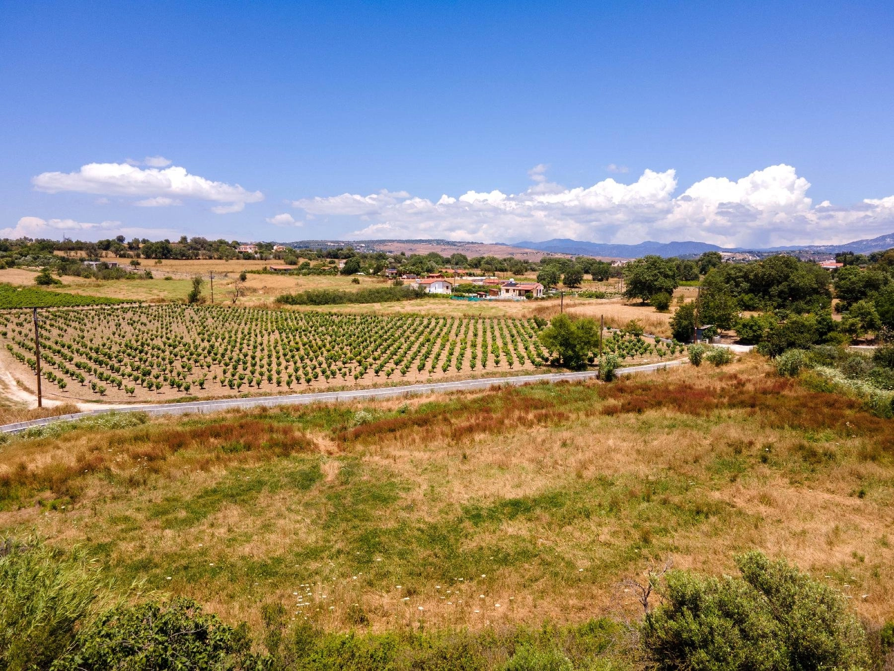 5,017m² Plot for Sale in Polemi, Paphos District