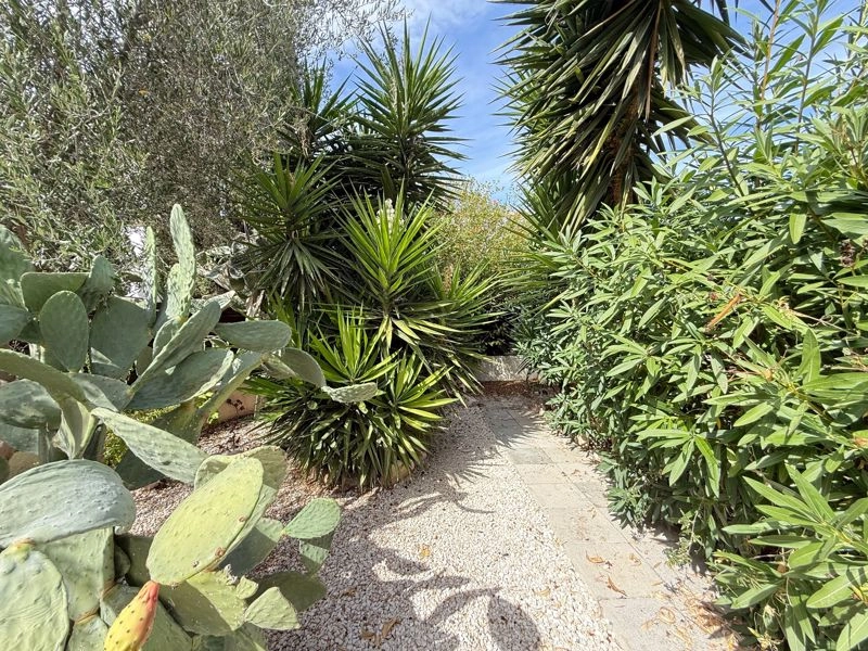 3 Bedroom House for Sale in Chlorakas, Paphos District