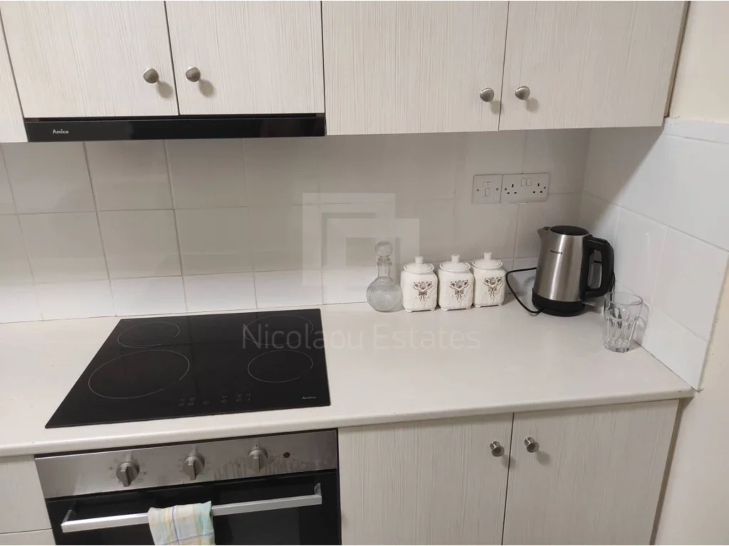 3 Bedroom Apartment for Rent in Nicosia District