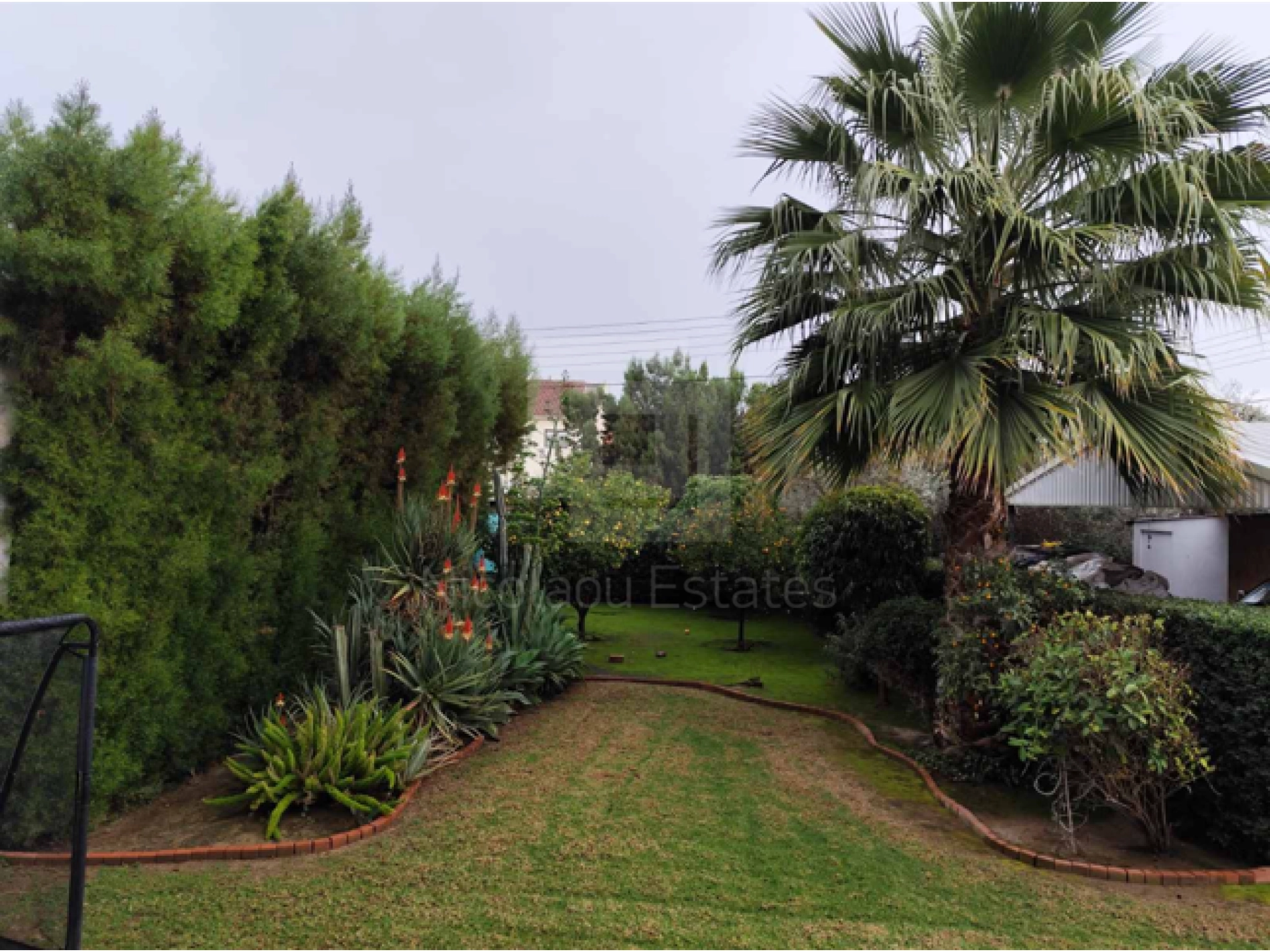 3 Bedroom House for Rent in Lakatamia, Nicosia District
